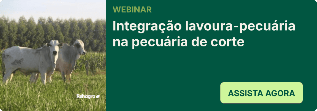 Webinar Integração lavoura-pecuária
