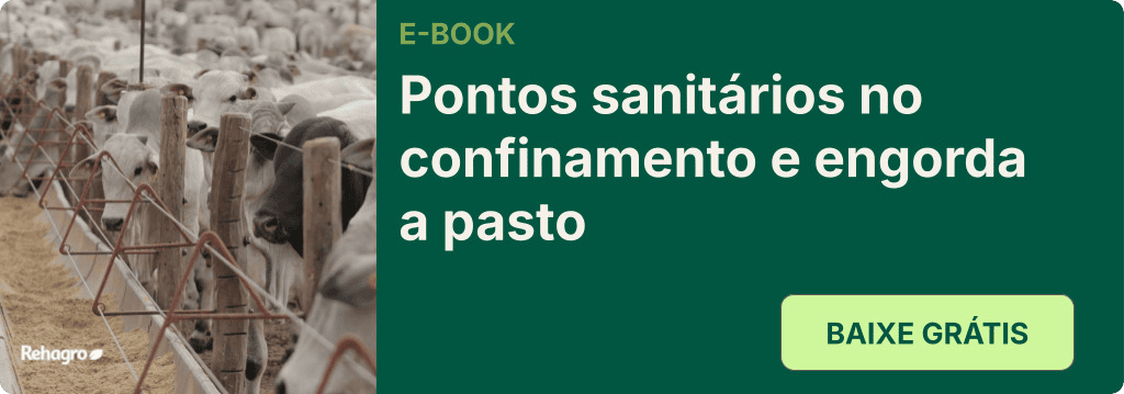 E-book Pontos sanitários no confinamento