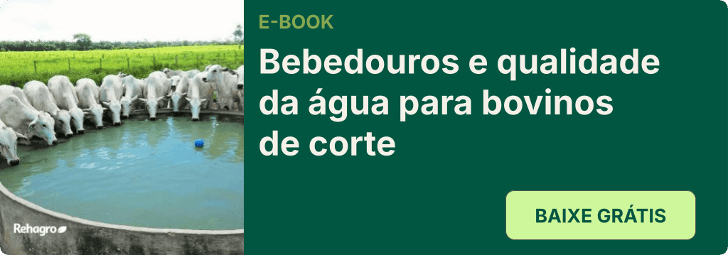 E-book Bebedouros para bovinos de corte