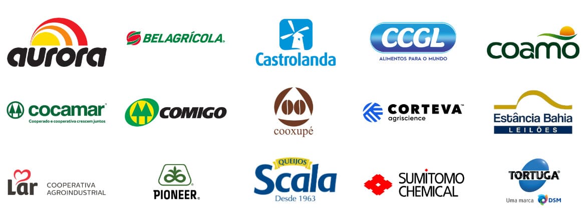 Algumas empresas do setor do agronegócio que são clientes da consultoria Rehagro