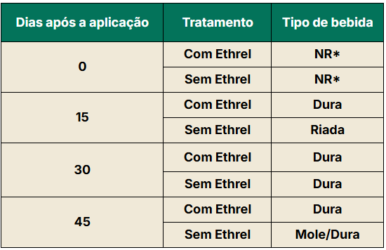 Tipos de bebida de cada tratamento