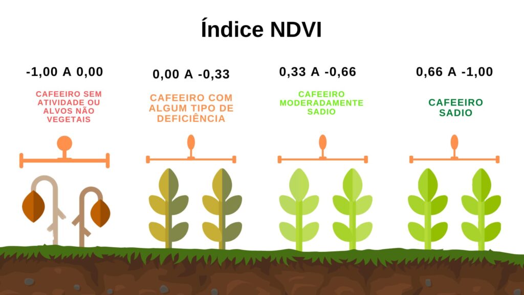 Ilustração com a Interpretação dos valores do índice NDVI