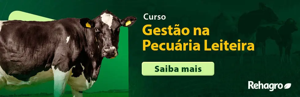 Banner Curso Gestão na Pecuária Leiteira