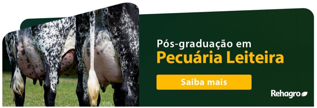 Banner Pós-graduação em Pecuária Leiteira