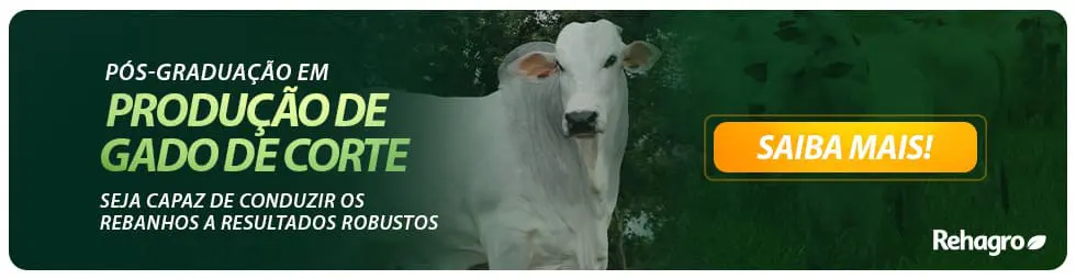 Cuidados essenciais na desmama de bezerros de corte? 6 Pós-graduação em Produção de Gado de Corte