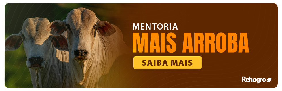 Clique e saiba mais sobre o curso! Banner Mentoria Mais Arroba