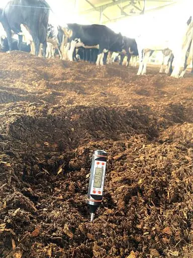Sistema compost barn