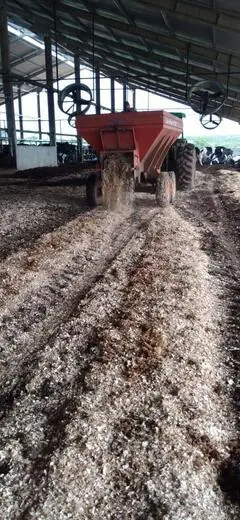 Reposição da cama em um sistema compost barn