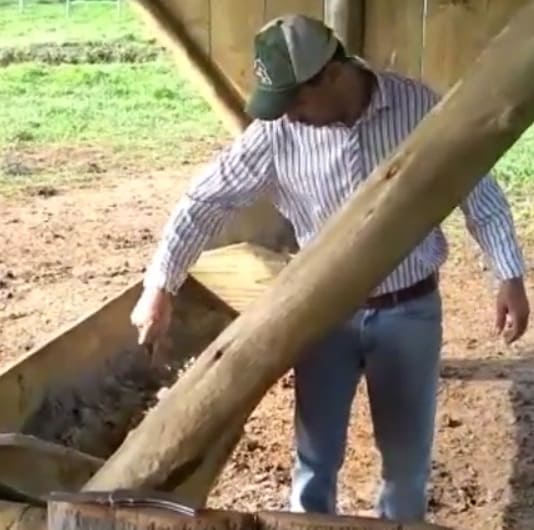 Produtor rural realizando inspeção no cocho do gado de corte