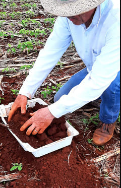 Homem realizando coleta de amostra para realização de análise de solo