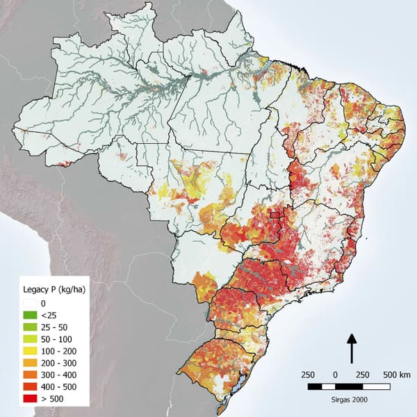 Disponibilidade de fósforo no solo brasileiro