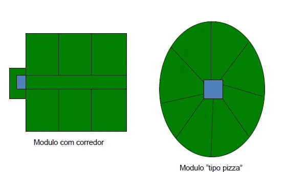 Pastejo rotacionado em módulos do tipo corredor e pizza
