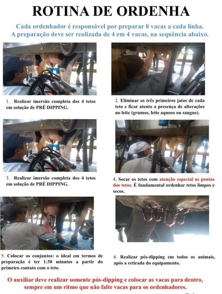 Exemplo de um programa operacional padrão de uma fazenda