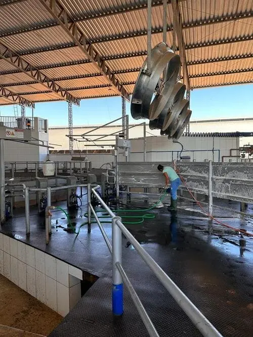 Higienização da sala de ordenha