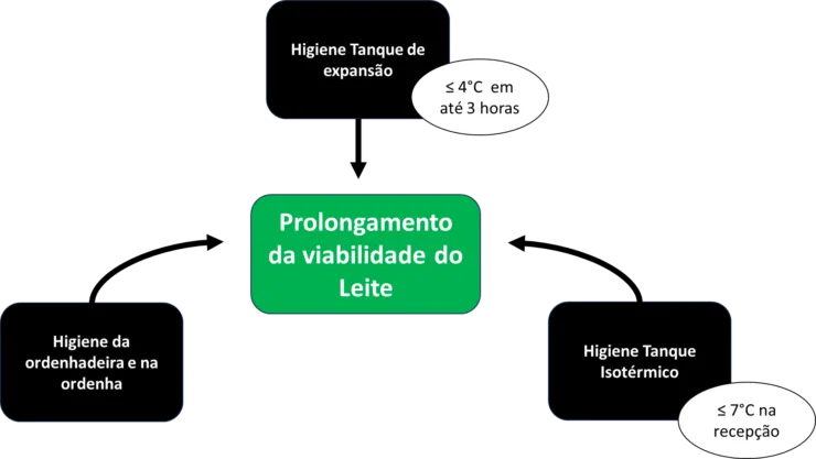 Esquema simplificado de fatores que prolongam a viabilidade do leite frente a coleta e transporte.