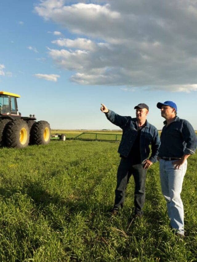 Tributação na atividade rural: um guia detalhado