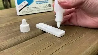 Pessoa fazendo teste rápido que identifica animais positivos para o gene A2A2