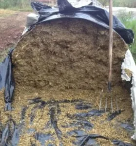 Silo do tipo bag/bolsa