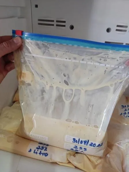 Saco plástico do tipo Ziploc sendo utilizado para armazenamento de colostro.