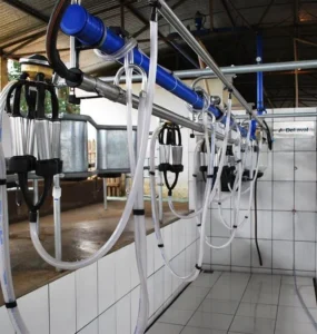 Sala de ordenha de vacas