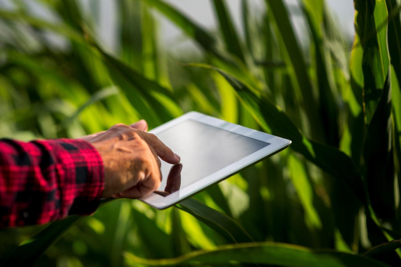 Transformação digital no agronegócio: conceito e aspectos