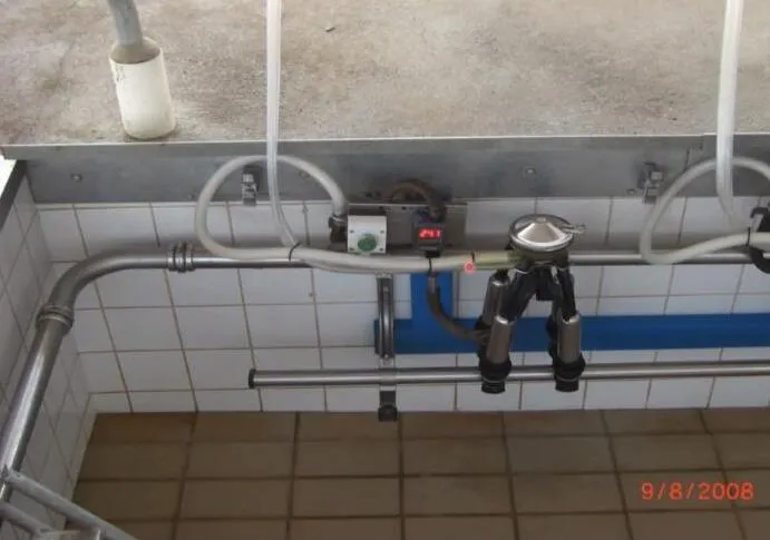 Sistema de ordenha mecânica do tipo linha baixa.