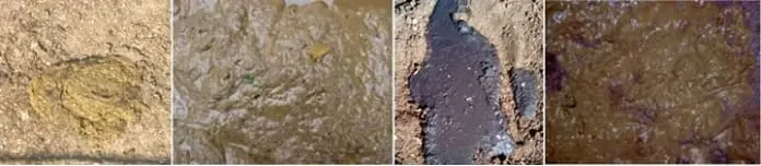 Diferenças de características físicas das fezes