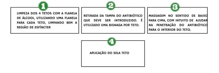 Passo a passo de como realizar a secagem da vaca