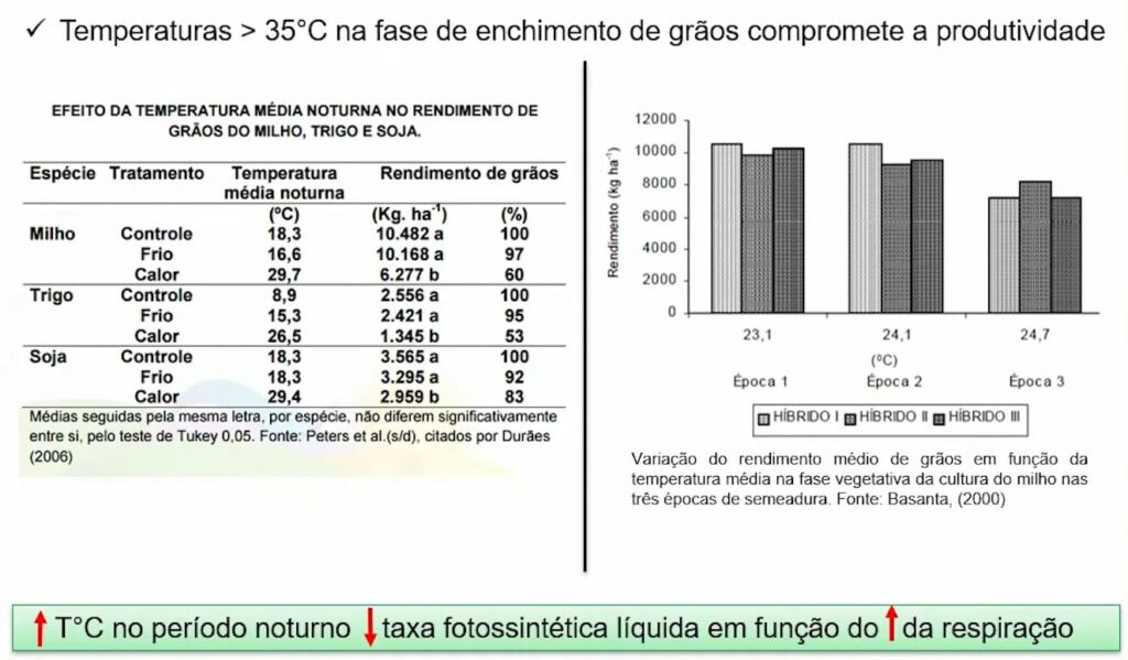 Tabela com relação da temperatura e enchimento de grãos