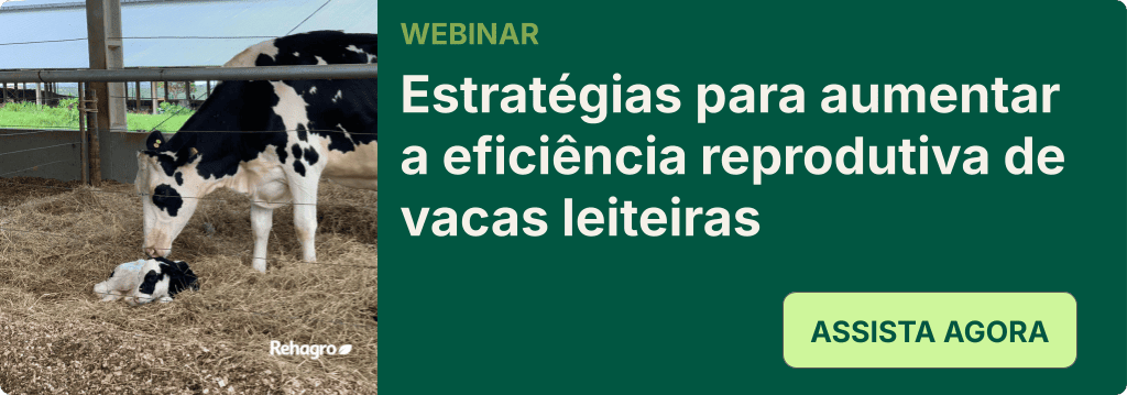 Webinar eficiência reprodutiva