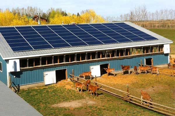 Disposição de placas de energia solar em uma fazenda.