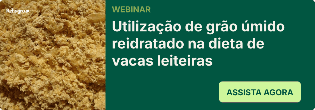 Webinar grãos úmidos reidratados