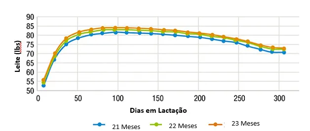 Gráfico demonstrando a produção de leite na primeira lactação por dias de leite e idade ao primeiro parto