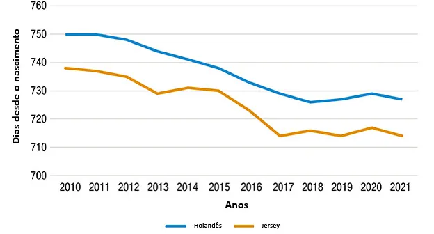 Gráfico demonstrando a tendência de redução da idade ao primeiro parto em dias em um intervalo de 10 anos