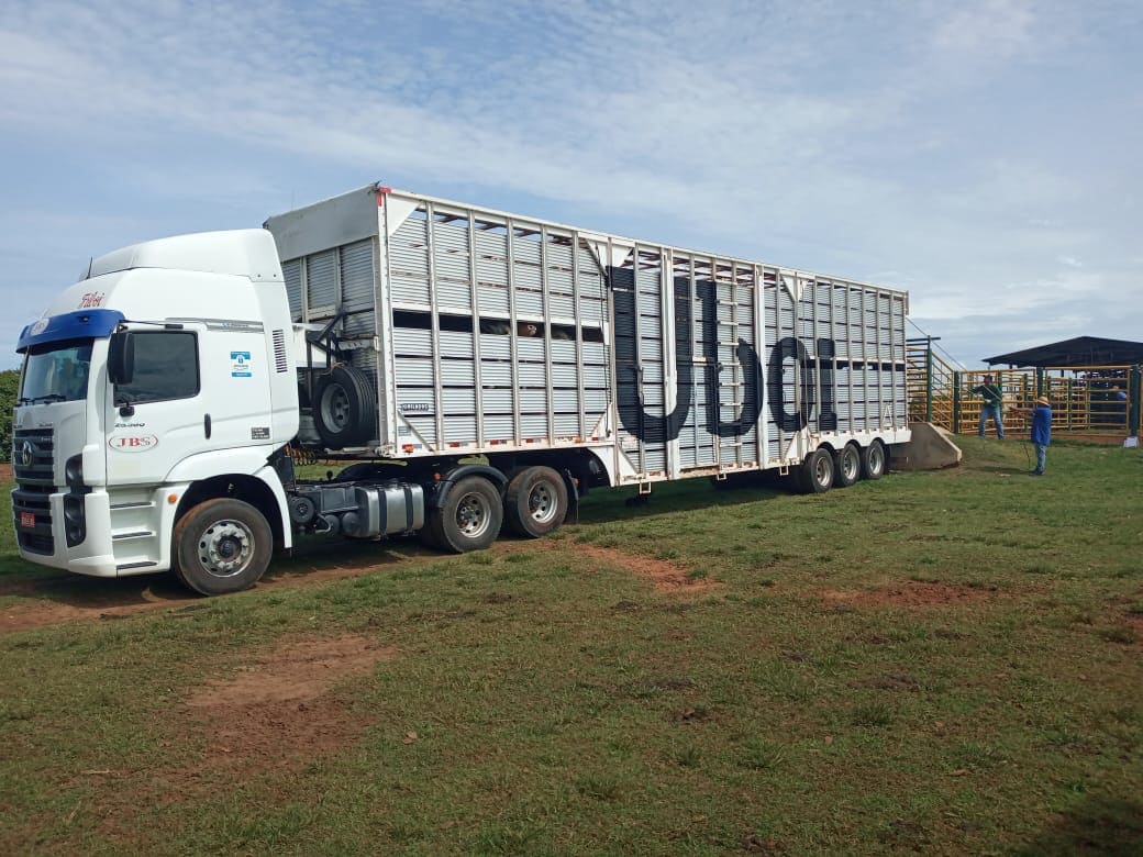 Caminhão utilizado no transporte do gado