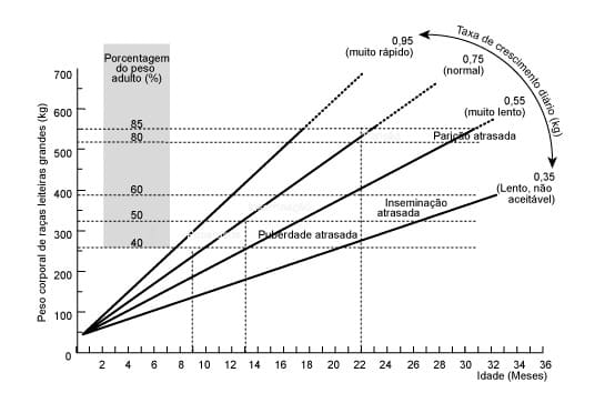 Gráfico relacionando a taxa de crescimento de novilhas e a performance reprodutiva