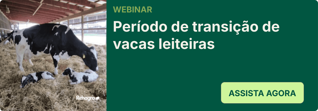 Webinar Período de transição