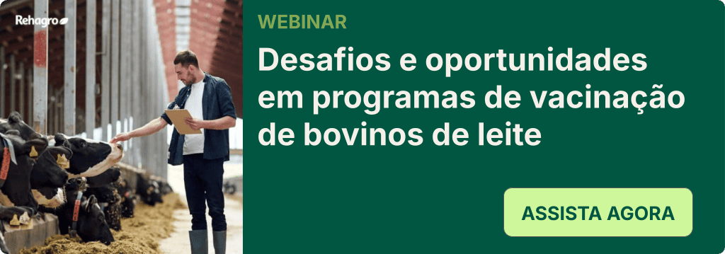 Webinar vacinação em bovinos leiteiros