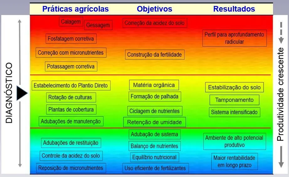 Imagem demonstrando pontos importantes do diagnóstico atrelados ao objetivo de elevar a produtividade
