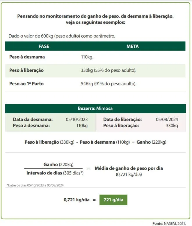 Exemplo de pesagem de recria