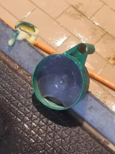 Imagem de uma caneca de fundo preto utilizada para avaliação visual do leite nos primeiros jatos
