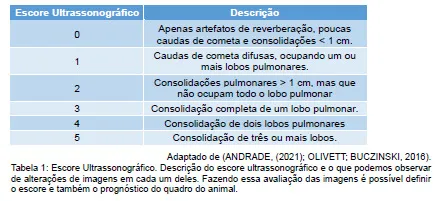 Tabela com escore ultrassonográfico