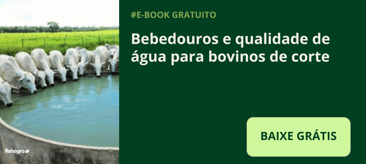 E-book bebedouros e qualidade de água para bovinos