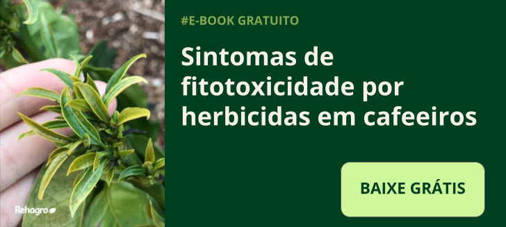 E-book sintomas de fitotoxicidade