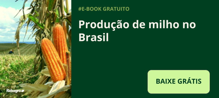 E-book produção de milho no Brasil