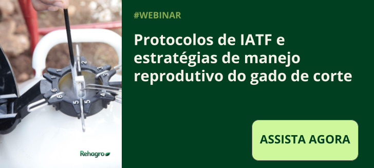 Webinar protocolos de IATF e estratégias de manejo reprodutivo