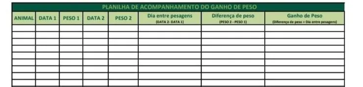Planilha para coleta de dados sobre ganho de peso de bezerras