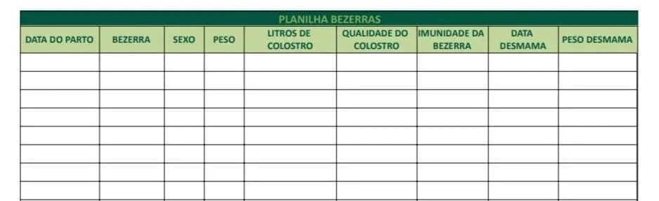Planilha para coleta de dados sobre bezerras