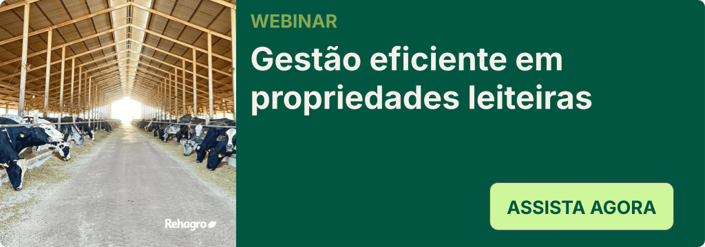 Webinar gestão financeira