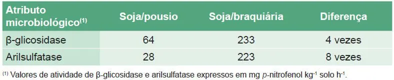 Níveis de atividade da β-glicosidase e da arilsulfatase